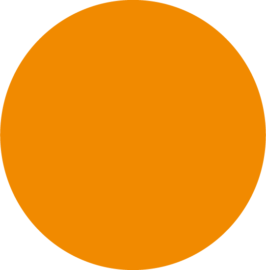 orange_circle_brand_guide.png