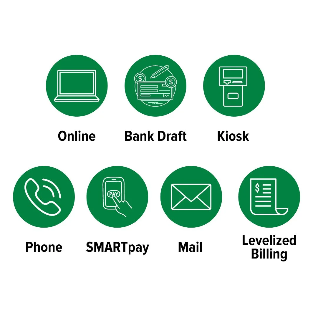 visual bill pay options