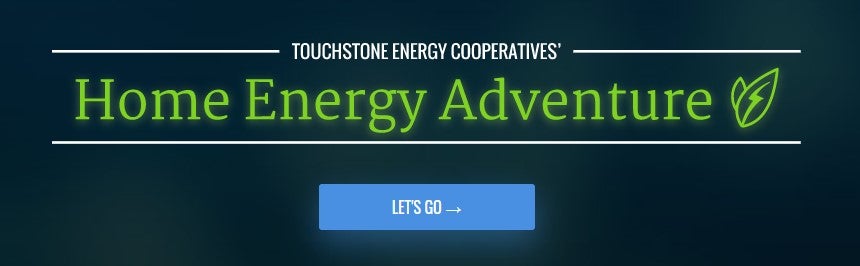 Home Energy Adventure Screenshot