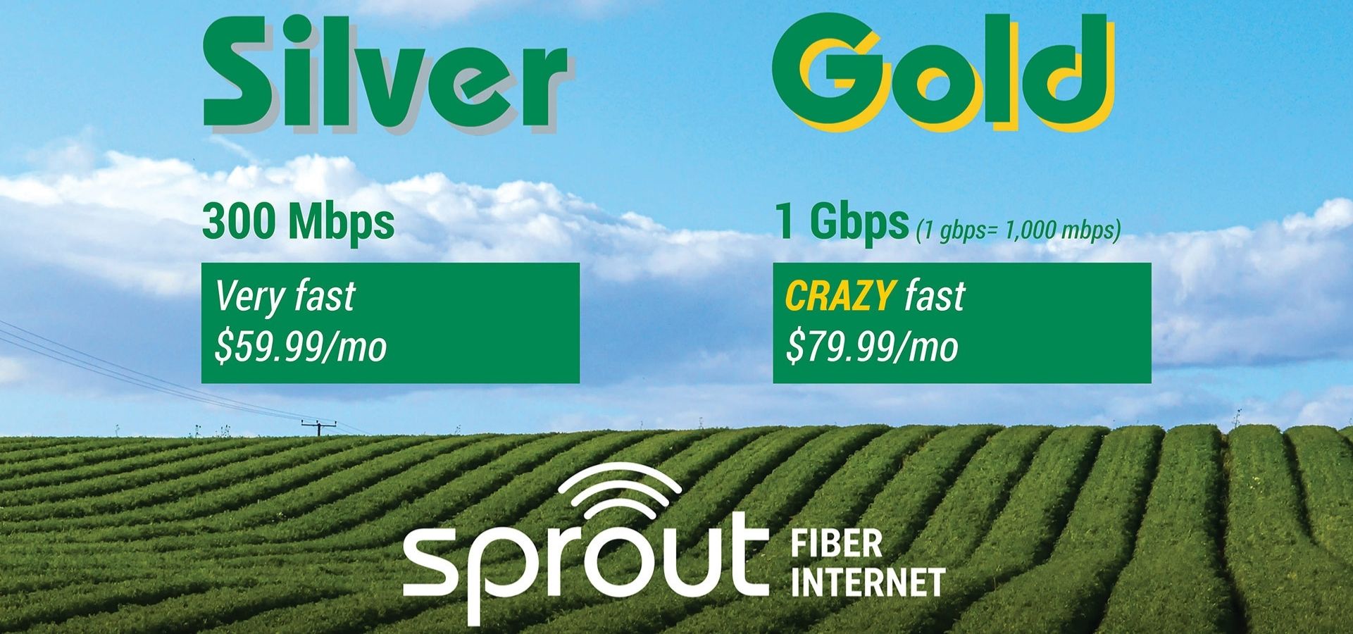 Sprout Fiber Available Now 1 Cullman Electric Cooperative